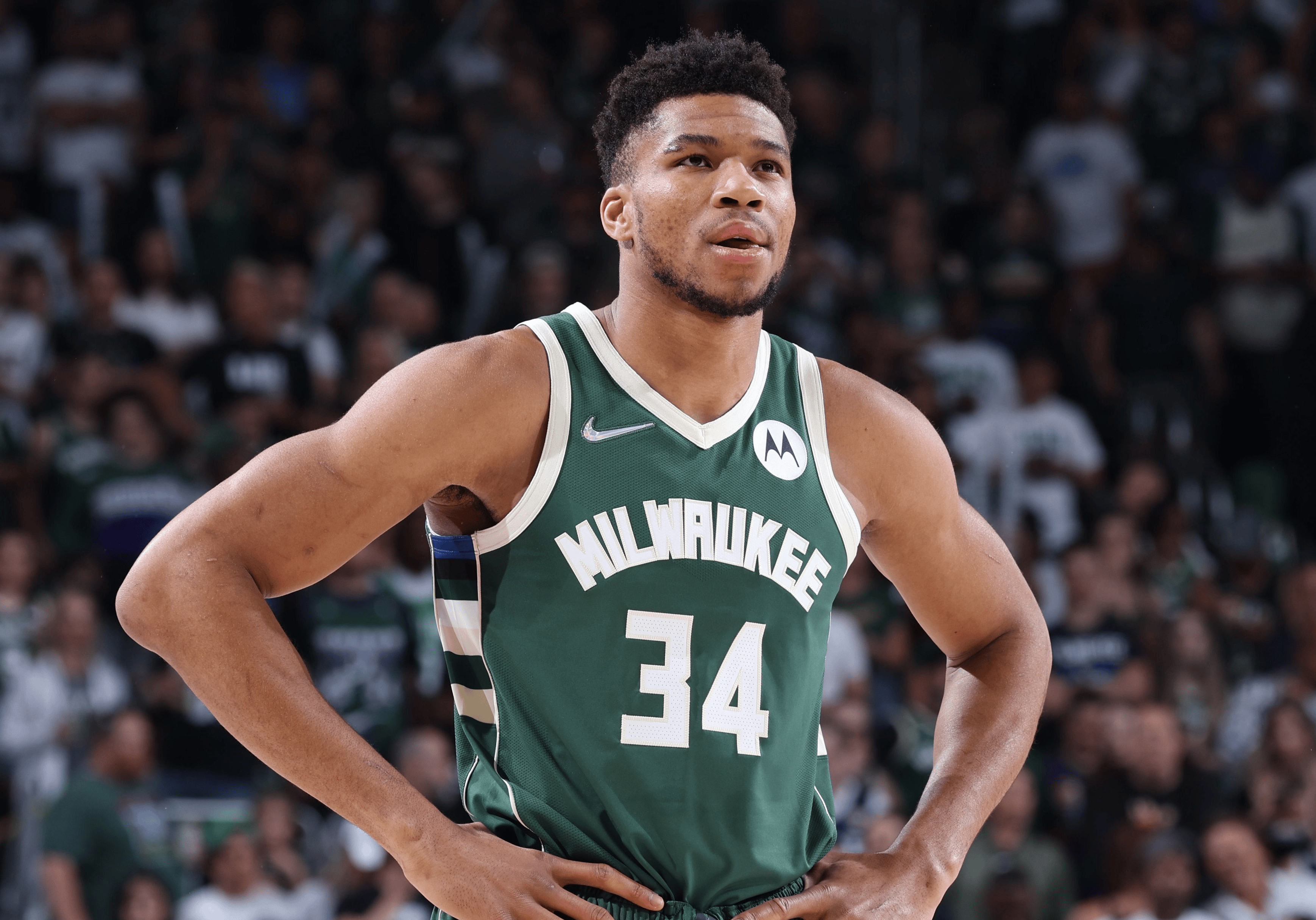 包含马刺将进行季前赛训练营,教练组首次亮相!球迷热切期待新赛季表现的词条 包含马刺将进行季前赛训练营,教练组首次亮相!球迷热切期待新赛季表现的词条