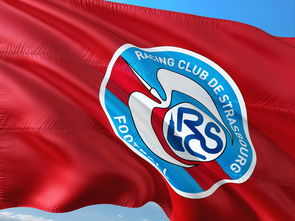 乐鱼体育视频-西班牙队连续三场保持不败，稳固小组第一位置